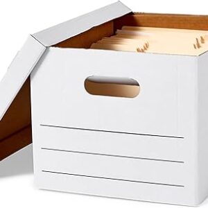 Basics Storage and File Boxes