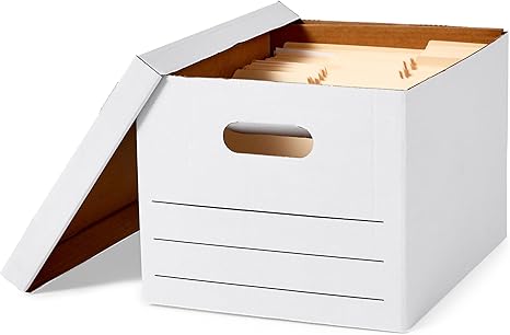 Basics Storage and File Boxes